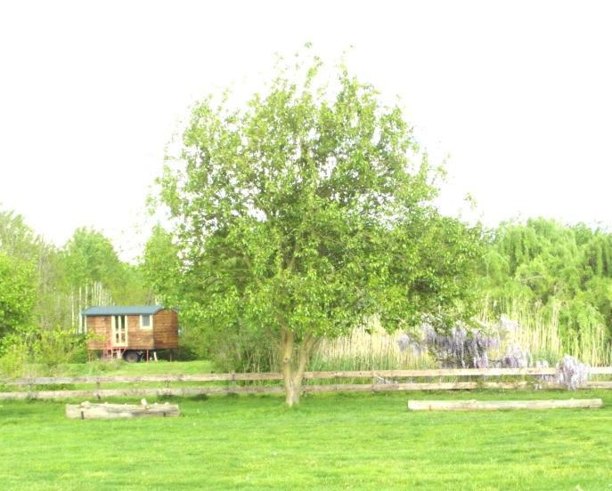 Casetta Sul Lago Albairate Εξωτερικό φωτογραφία